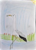 Gašparová Sofia.jpg